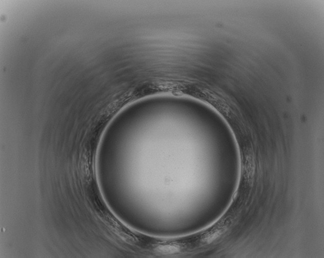 X0000062860653200601201730