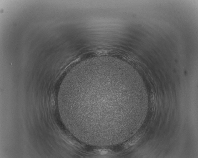 X0000062860654200601201730