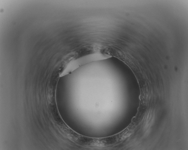 X0000062860656200601201730