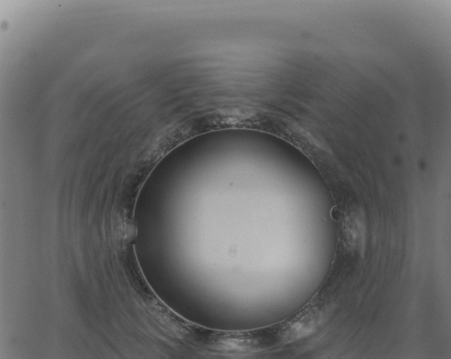 X0000062860657200601201730