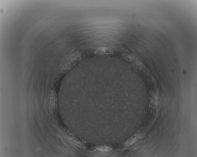 X0000062860659200601201730