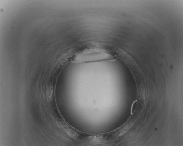 X0000062860660200601201730