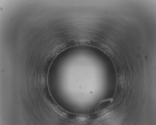 X0000062860662200601201730