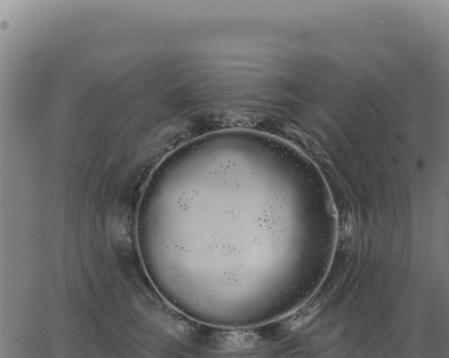 X0000062860663200601201730