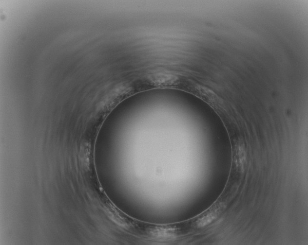 X0000062860664200601201730