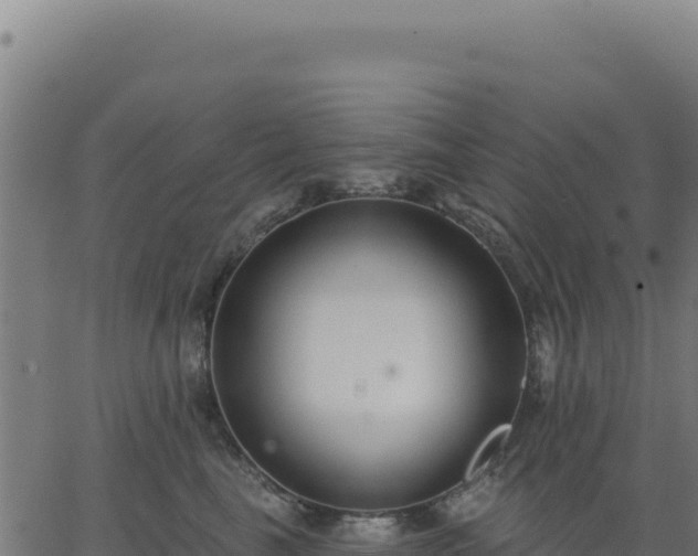 X0000062860665200601201730