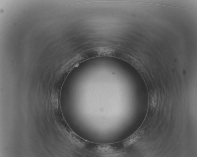 X0000062860666200601201730