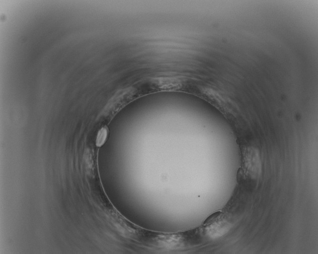 X0000062860667200601201730