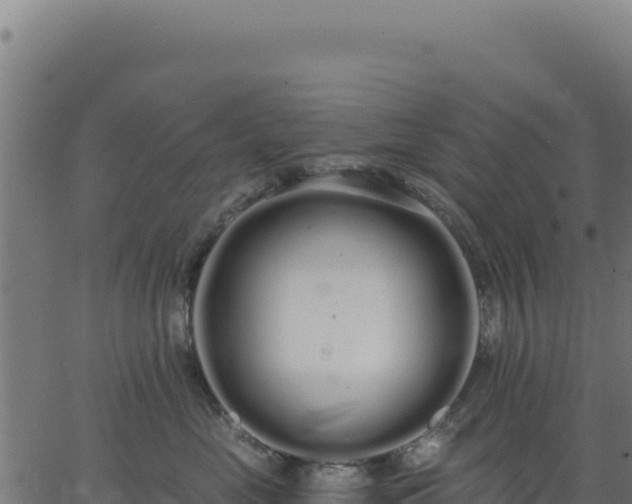 X0000062860669200601201730