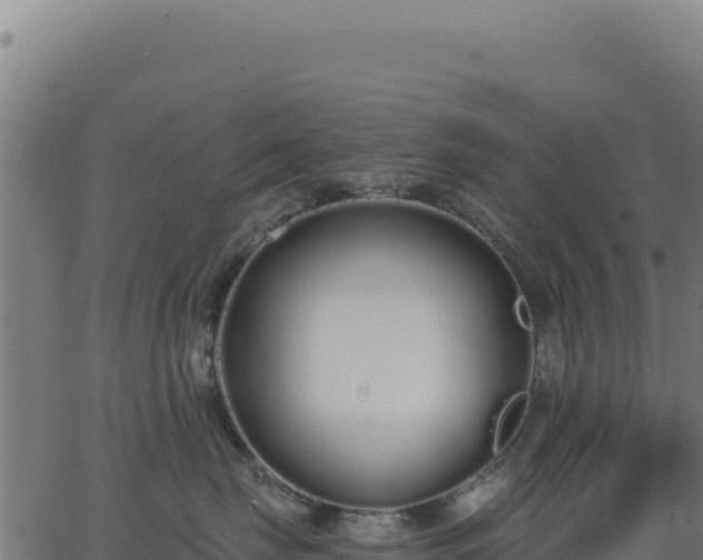 X0000062860671200601201730