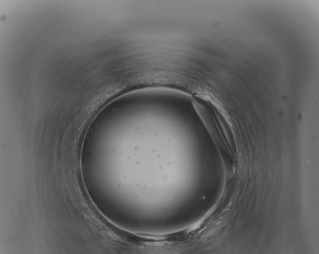 X0000062860673200601201729