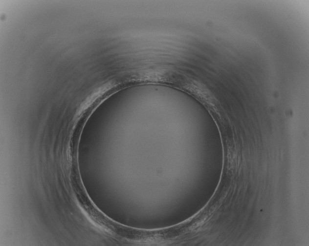 X0000062860674200601201729