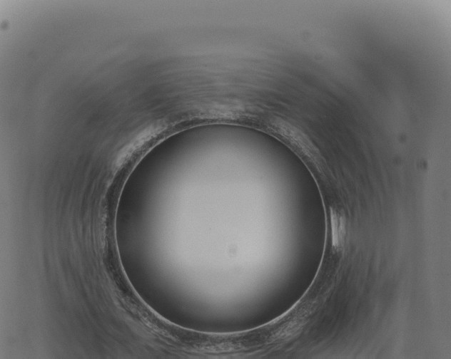 X0000062860675200601201729