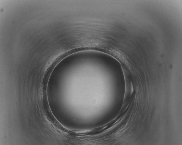 X0000062860676200601201729