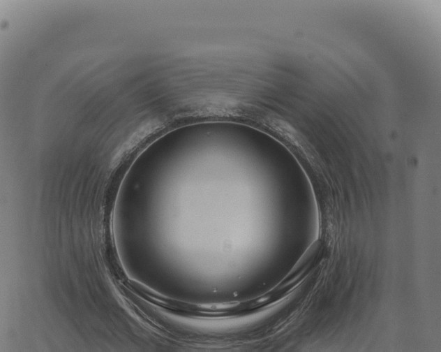 X0000062860677200601201729