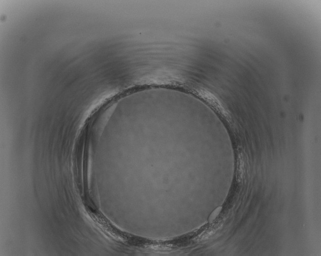 X0000062860680200601201729