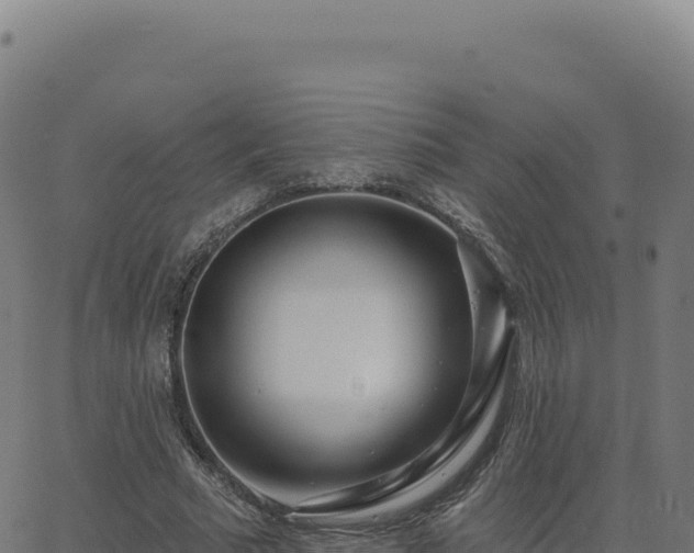 X0000062860681200601201729