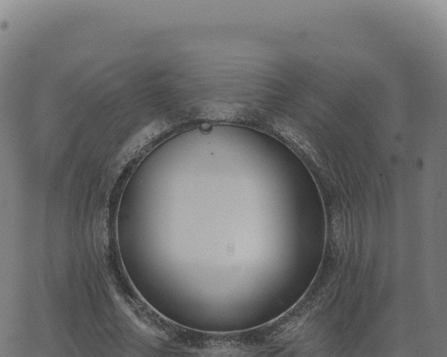 X0000062860682200601201729