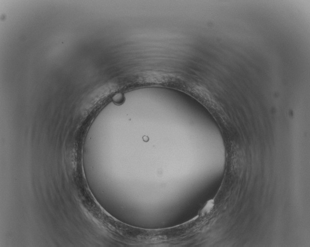 X0000062860683200601201729