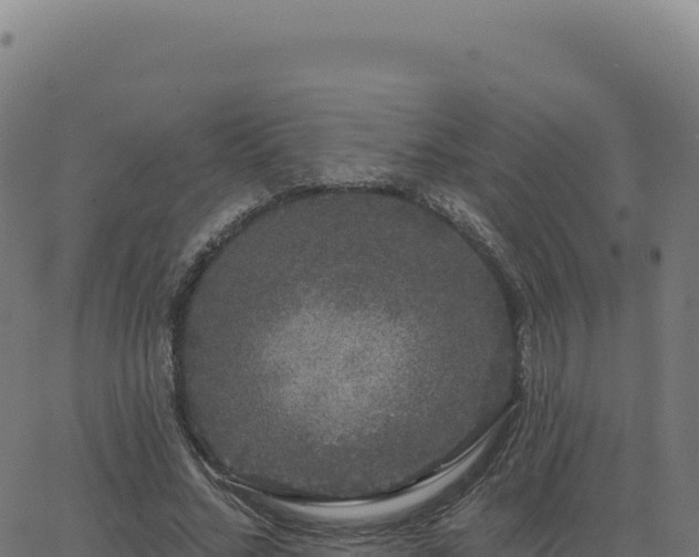 X0000062860684200601201729