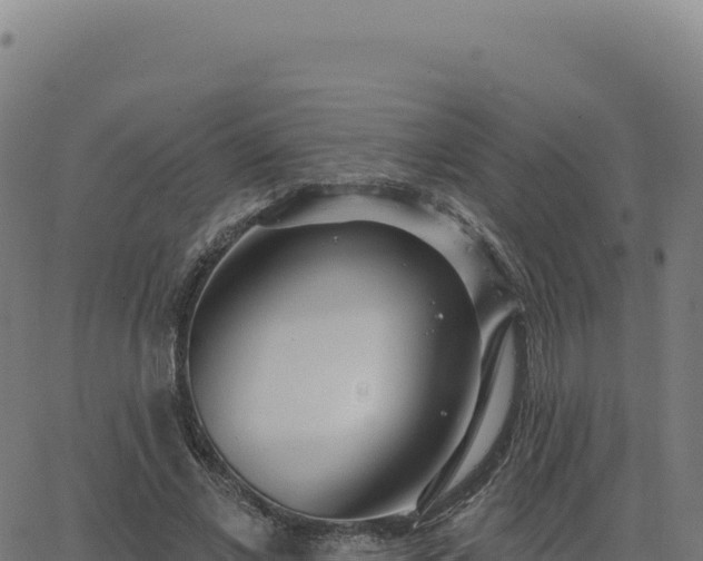 X0000062860685200601201729