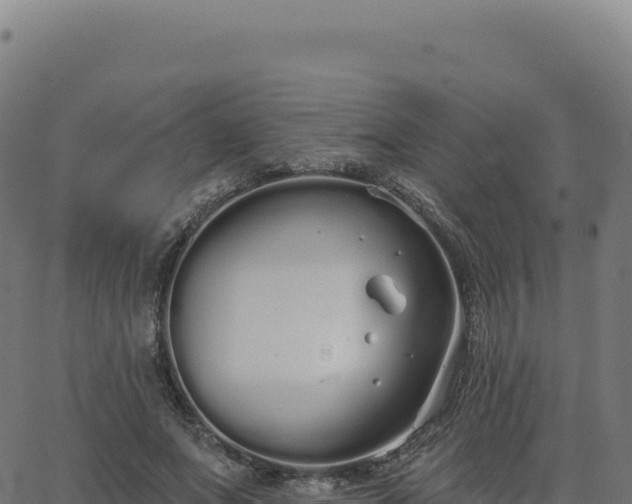 X0000062860687200601201729