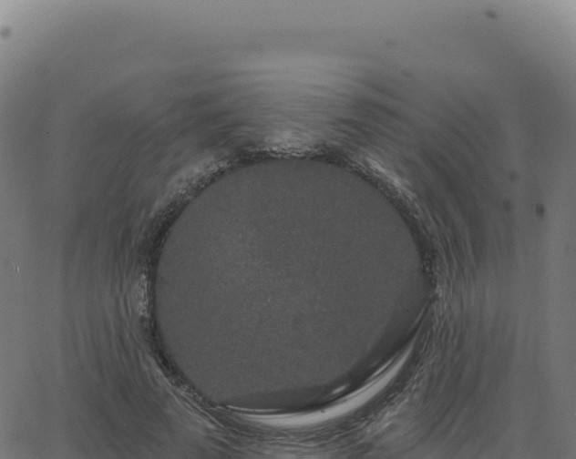 X0000062860689200601201729