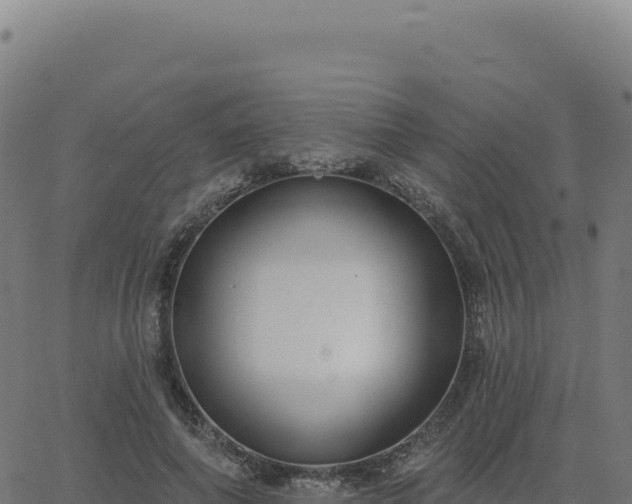 X0000062860690200601201729