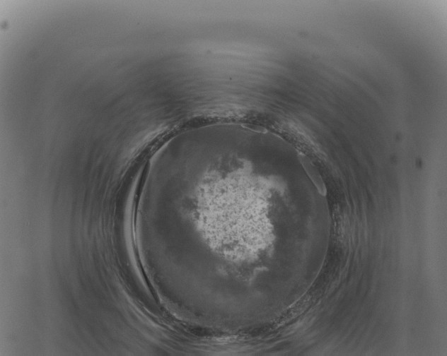 X0000062860692200601201729