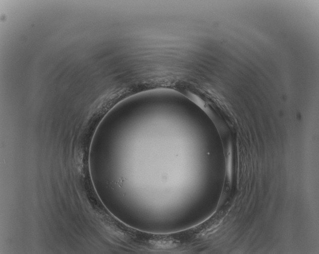 X0000062860693200601201729