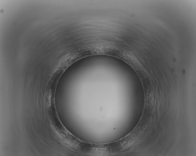 X0000062860694200601201729