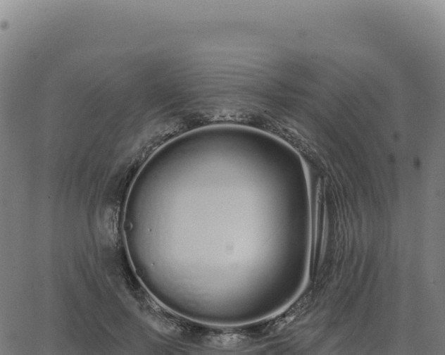 X0000062860695200601201729