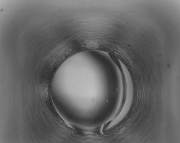 X0000062860697200601201729