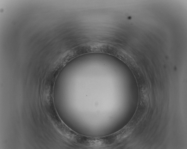 X0000062860698200601201729