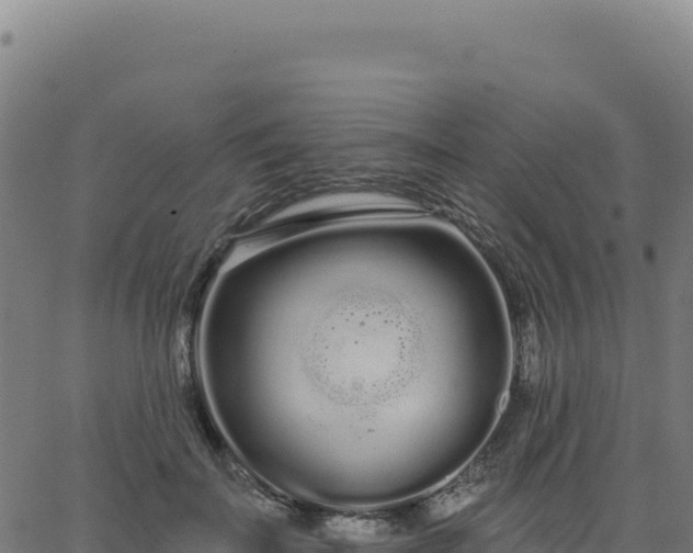 X0000062860699200601201729