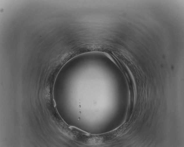 X0000062860700200601201729