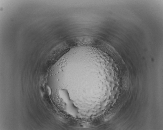 X0000062860701200601201729