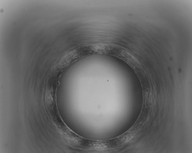 X0000062860702200601201729