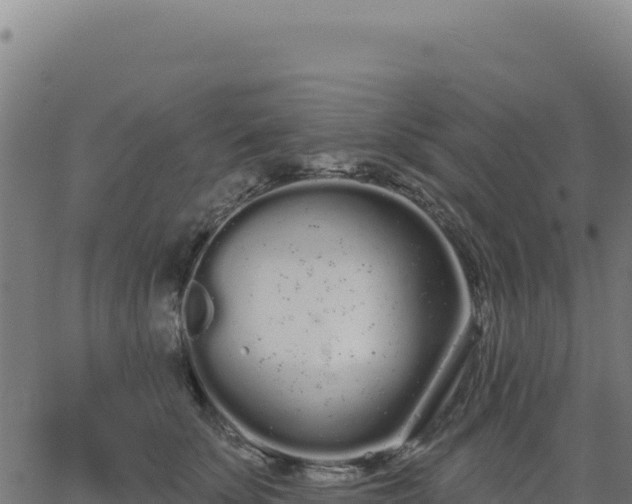 X0000062860707200601201729