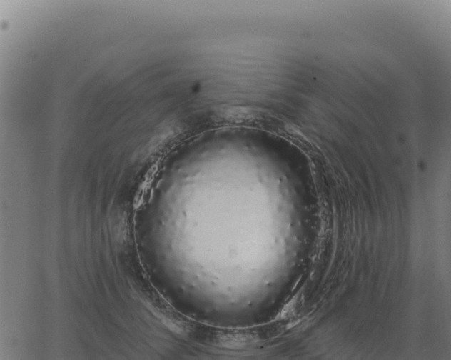 X0000062860708200601201729