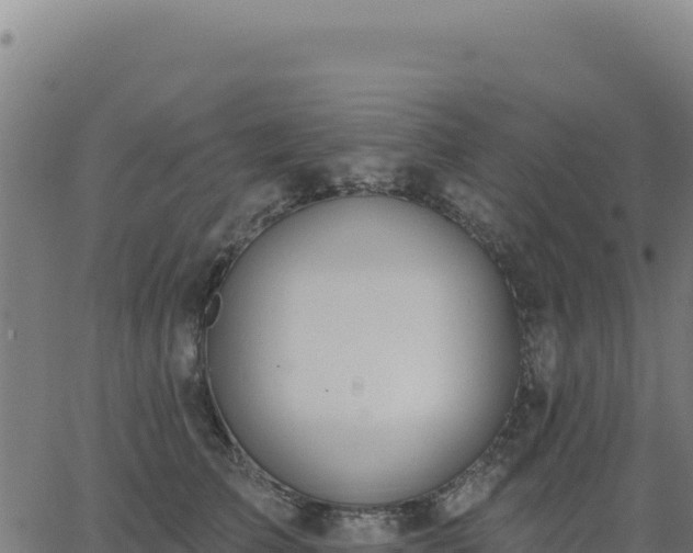 X0000062860709200601201729