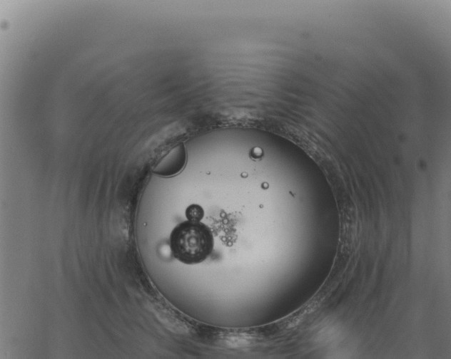 X0000062860710200601201729