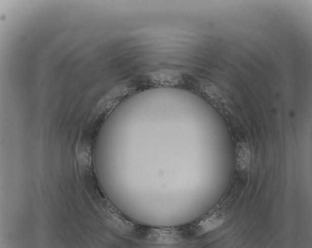 X0000062860713200601201729