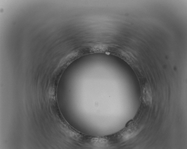 X0000062860714200601201729