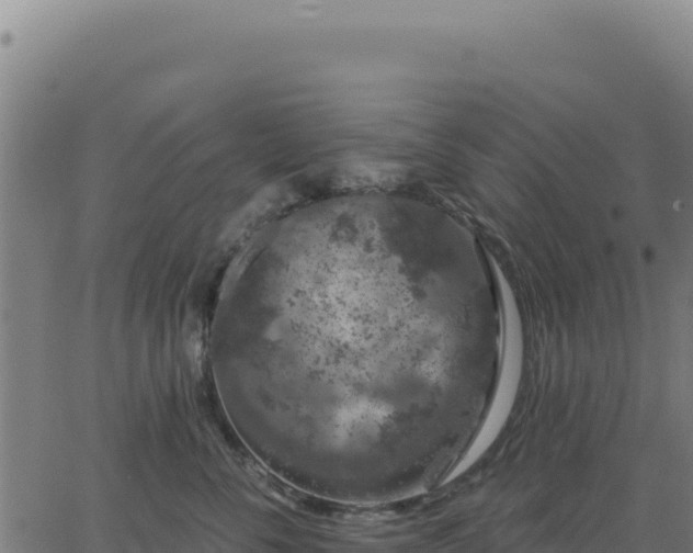 X0000062860716200601201729