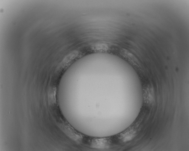 X0000062860717200601201729