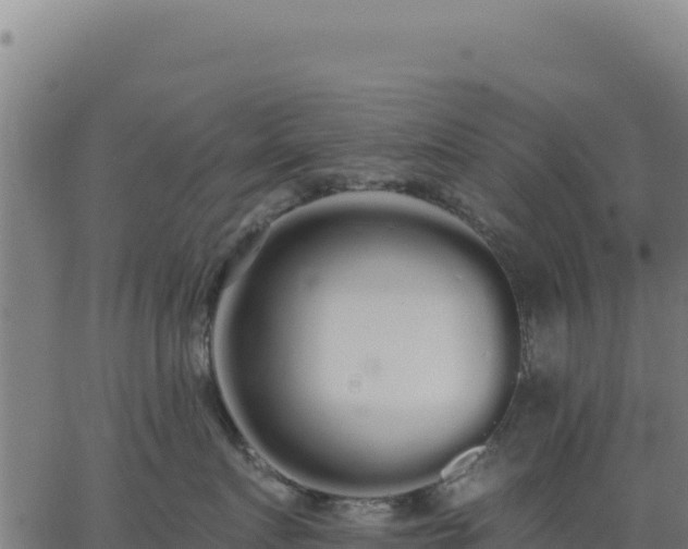 X0000062860719200601201729