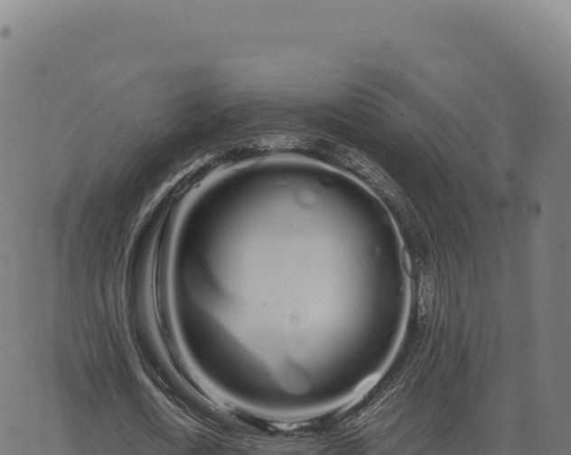 X0000062860722200601201728