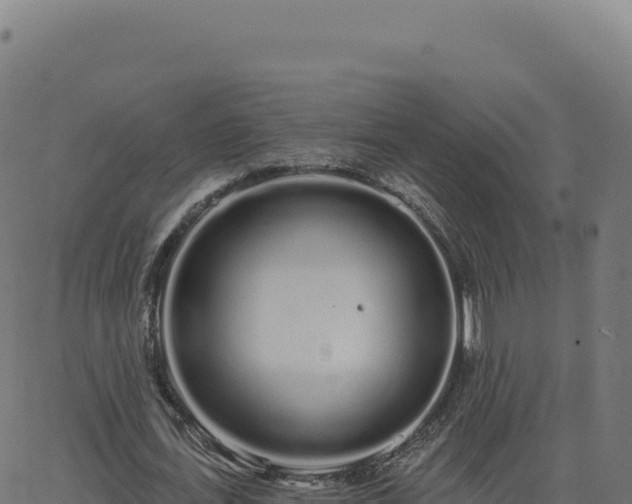 X0000062860723200601201728