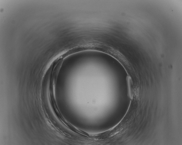 X0000062860724200601201728